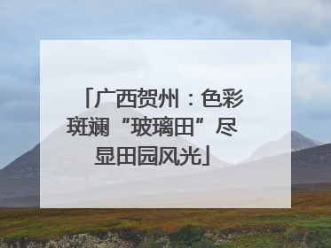 广西贺州：色彩斑斓“玻璃田”尽显田园风光