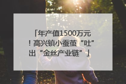 年产值1500万元！高兴镇小蚕茧“吐”出“金丝产业链”