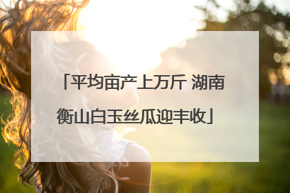 平均亩产上万斤 湖南衡山白玉丝瓜迎丰收