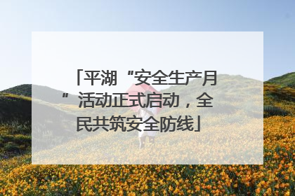 平湖“安全生产月”活动正式启动，全民共筑安全防线