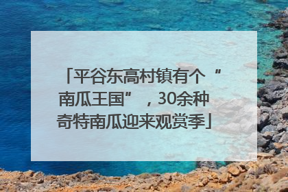 平谷东高村镇有个“南瓜王国”，30余种奇特南瓜迎来观赏季