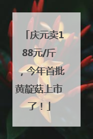 庆元卖188元/斤，今年首批黄靛菇上市了！