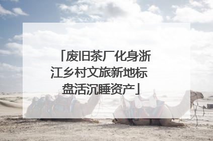废旧茶厂化身浙江乡村文旅新地标 盘活沉睡资产