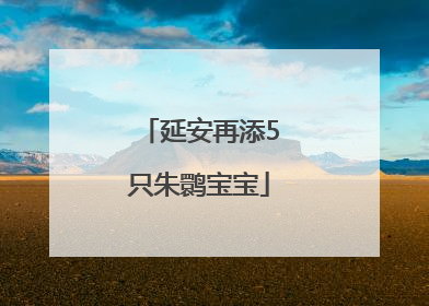 延安再添5只朱鹮宝宝