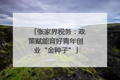 张家界税务：政策赋能育好青年创业“金种子”