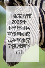 张家界市2025年下半年征兵宣传启动仪式在张家界学院圆满举行