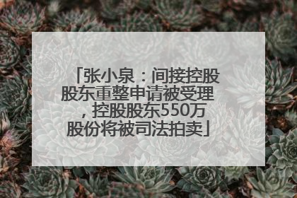 张小泉：间接控股股东重整申请被受理，控股股东550万股份将被司法拍卖
