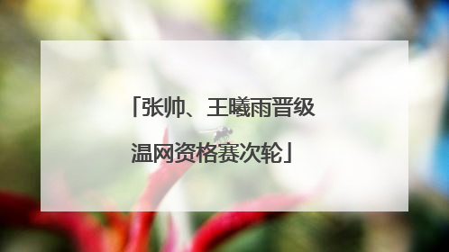 张帅、王曦雨晋级温网资格赛次轮