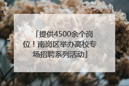 提供4500余个岗位！南岗区举办高校专场招聘系列活动