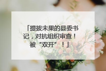 提拔未果的县委书记，对抗组织审查！被“双开”！
