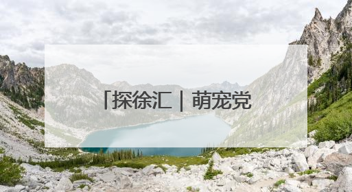 探徐汇｜萌宠党狂喜！徐汇滨江解锁“宠物游轮+天台乐园”双玩法
