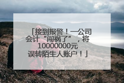 接到报警！一公司会计“闯祸了”，将10000000元误转陌生人账户！