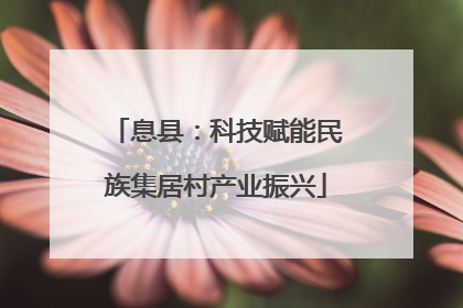息县：科技赋能民族集居村产业振兴