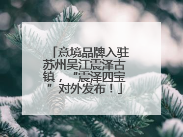 意境品牌入驻苏州吴江震泽古镇，“震泽四宝”对外发布！