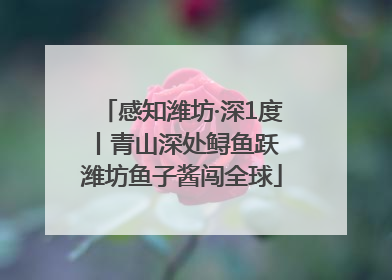 感知潍坊·深1度丨青山深处鲟鱼跃 潍坊鱼子酱闯全球