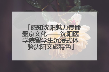 感知沈阳魅力传播盛京文化——沈阳医学院留学生沉浸式体验沈阳文旅特色