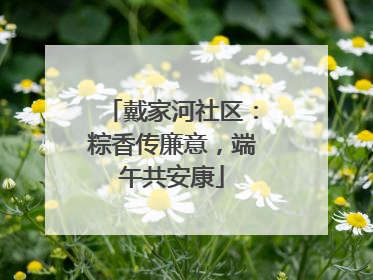 戴家河社区：粽香传廉意，端午共安康