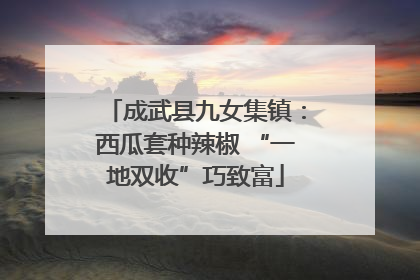 成武县九女集镇：西瓜套种辣椒 “一地双收”巧致富
