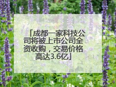 成都一家科技公司将被上市公司全资收购，交易价格高达3.6亿