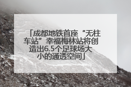 成都地铁首座“无柱车站”幸福梅林站将创造出6.5个足球场大小的通透空间