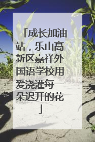 成长加油站，乐山高新区嘉祥外国语学校用爱浇灌每一朵迟开的花