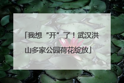 我想“开”了！武汉洪山多家公园荷花绽放