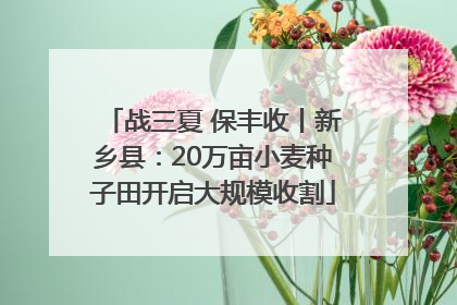 战三夏 保丰收丨新乡县：20万亩小麦种子田开启大规模收割
