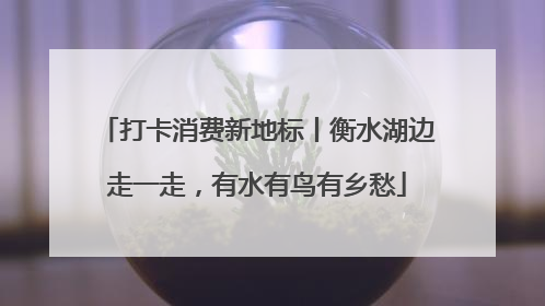 打卡消费新地标丨衡水湖边走一走，有水有鸟有乡愁