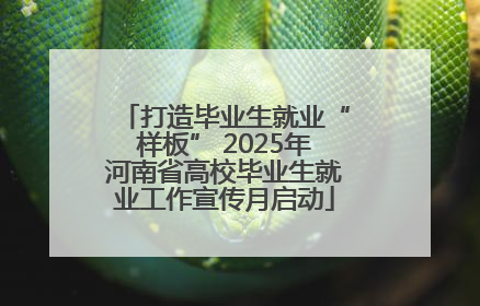 打造毕业生就业“样板” 2025年河南省高校毕业生就业工作宣传月启动