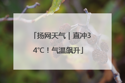 扬网天气｜直冲34℃！气温飙升