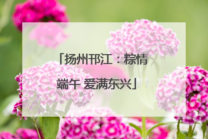 扬州邗江：粽情端午 爱满东兴