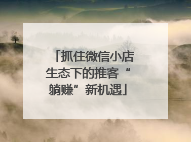 抓住微信小店生态下的推客“躺赚”新机遇
