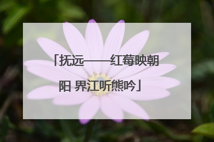 抚远——红莓映朝阳 界江听熊吟