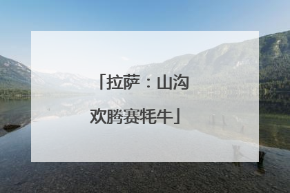 拉萨：山沟欢腾赛牦牛