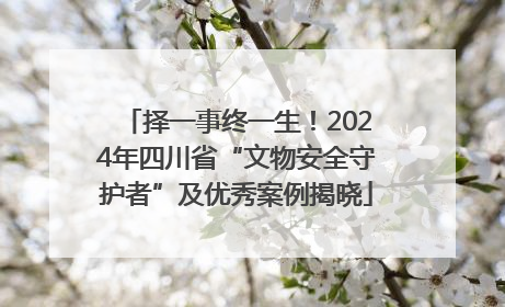 择一事终一生！2024年四川省“文物安全守护者”及优秀案例揭晓