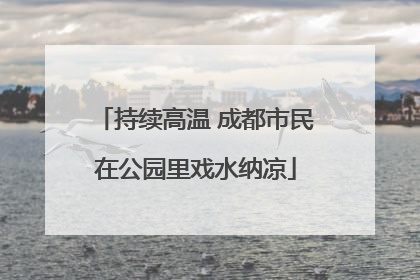 持续高温 成都市民在公园里戏水纳凉