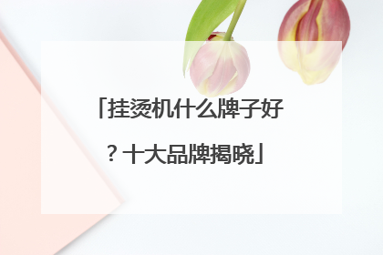 挂烫机什么牌子好？十大品牌揭晓