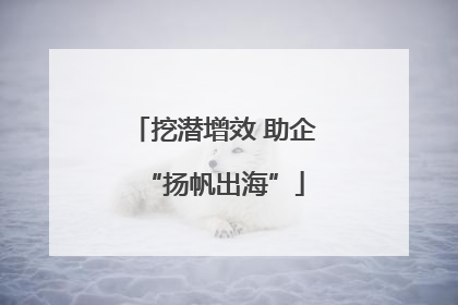 挖潜增效 助企“扬帆出海”