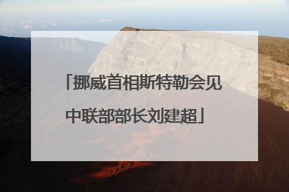 挪威首相斯特勒会见中联部部长刘建超