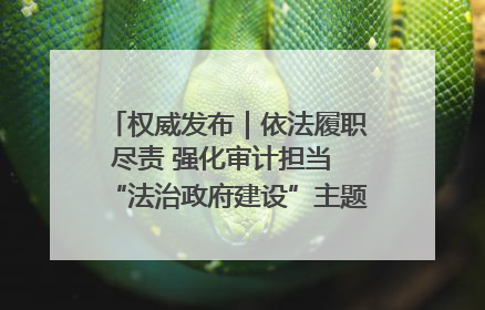 权威发布｜依法履职尽责 强化审计担当 “法治政府建设”主题系列新闻发布会市审计局专场召开