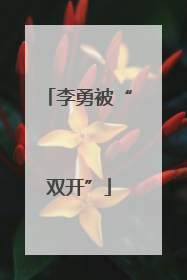 李勇被“双开”