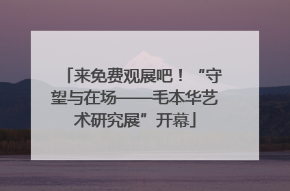 来免费观展吧！“守望与在场——毛本华艺术研究展”开幕