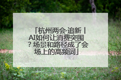 杭州两会·追新丨AI如何让消费突围？场景和路径成了会场上的高频词