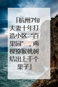 杭州7旬夫妻十年打造小区“百果园”，两棵猕猴桃树结出上千个果子