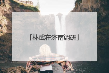 林武在济南调研