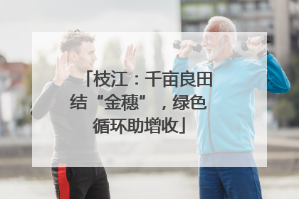 枝江：千亩良田结“金穗”，绿色循环助增收