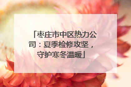 枣庄市中区热力公司：夏季检修攻坚，守护寒冬温暖