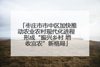 枣庄市市中区加快推动农业农村现代化进程 形成“振兴乡村 增收富农”新格局