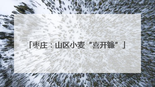 枣庄：山区小麦“喜开镰”