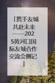 携手友城 共赴未来——2025黄河口国际友城合作交流会侧记